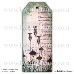 Lavinia Clear Stamps - Starflare Pods